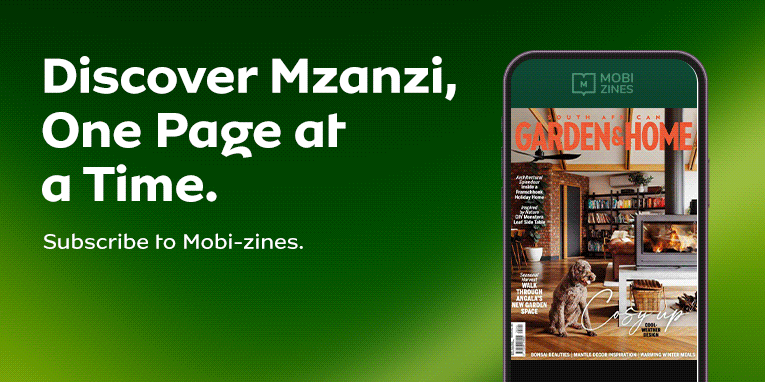 Save on great news content